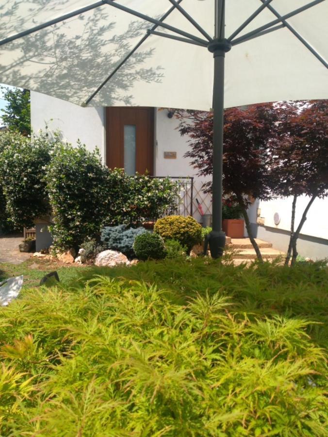 자니카 Le Betulle B&B 외부 사진
