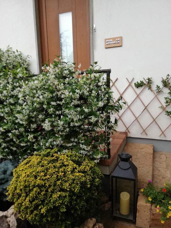 자니카 Le Betulle B&B 외부 사진